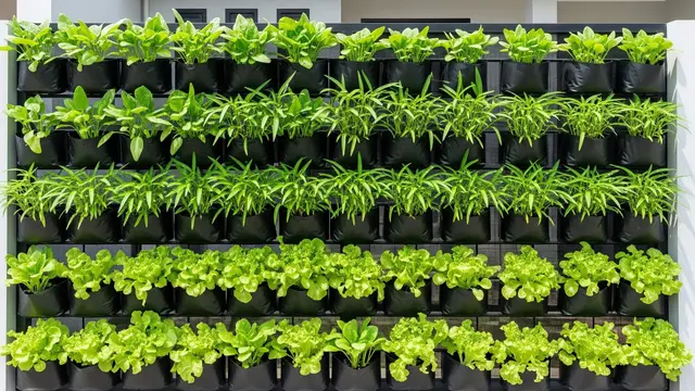Ide Kebun Sayur Pakai Polybag Gantung di Pagar Rumah