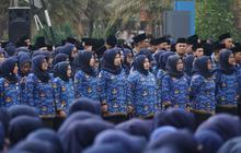 Masalah Tenaga Honorer Selesai Akhir Tahun Ini, Semua Diangkat Jadi PPPK?