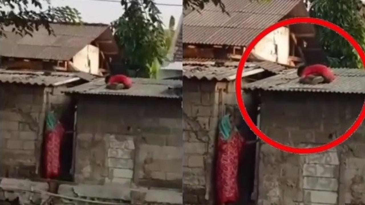 bocah ngumpet di atap genteng