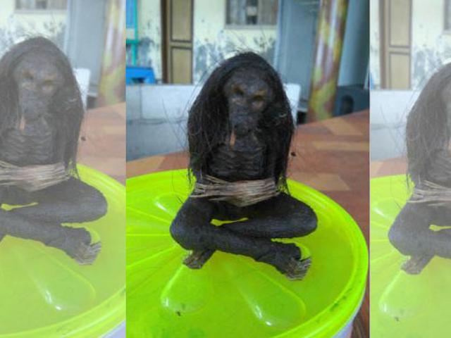 Menyeramkan Jenglot Duduk Bersila Ditemukan Di Kepulauan Seribu News Liputan6 Com