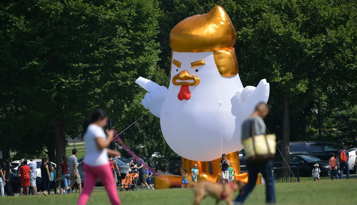 Wisatawan melewati balon raksasa berbentuk ayam dengan rambut seperti Donald Trump di sebuah taman di belakang Gedung Putih, 9 Agustus 2017. Pemandangan langka balon ayam raksasa berukuran 23 kaki itu dengan cepat menarik perhatian. (Mandel NGAN/AFP)