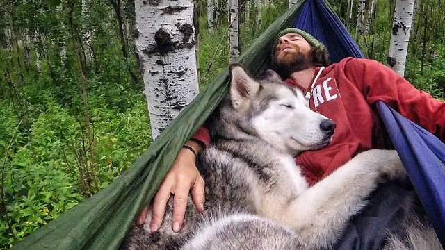 Petualangan Kelly si Manusia dan Loki si Anjing-Serigala
