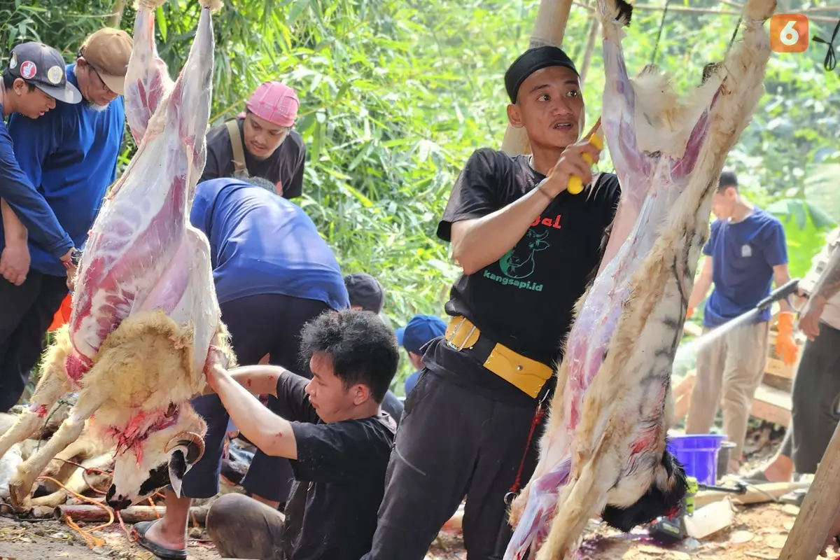 Pemotongan Daging Kurban di Hari Raya Idul Adha 2025 (Foto: Aditya Eka Prawira/Liputan6.com)