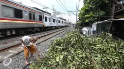Seorang warga memotong ranting pohon di kawasan Petamburan, Jakarta, Selasa (19/7). BPS DKI Jakarta menyatakan jumlah penduduk miskin di Jakarta mengalami kenaikan 0,14 poin. (Liputan6.com/Faizal Fanani)