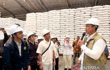 Capaian Serapan Gabah Bulog Tembus 2,4 Juta Ton, Perkuat Cadangan Beras Nasional