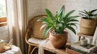 7 Tanaman Hias Daun Polkadot, Corak Unik yang Ubah Sudut Rumah Jadi Lebih Menarik