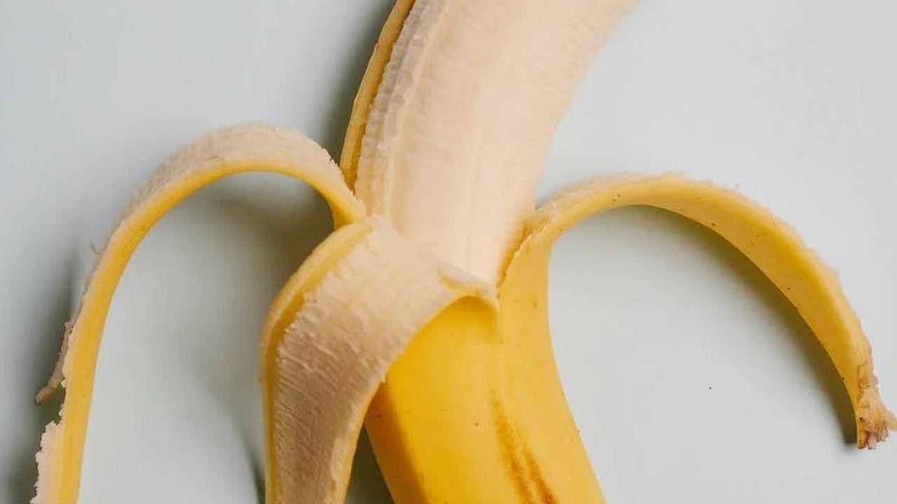 Sebagai calon ibu atau ibu baru, pasti ingin memastikan bahwa si kecil mendapatkan semua nutrisi yang dibutuhkannya untuk tumbuh kembang yang sehat. Salah satu makanan yang dapat menyediakan berbagai vitamin dan mineral penting bagi si kecil adalah pisang