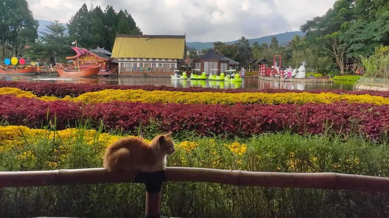 Liburan di Floating Market Bandung, Ada Jajanan Tradisional Hingga Indahnya Taman Bunga