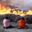 Kebakaran Hutan Kalteng yang Menggerus Penghasilan Warga