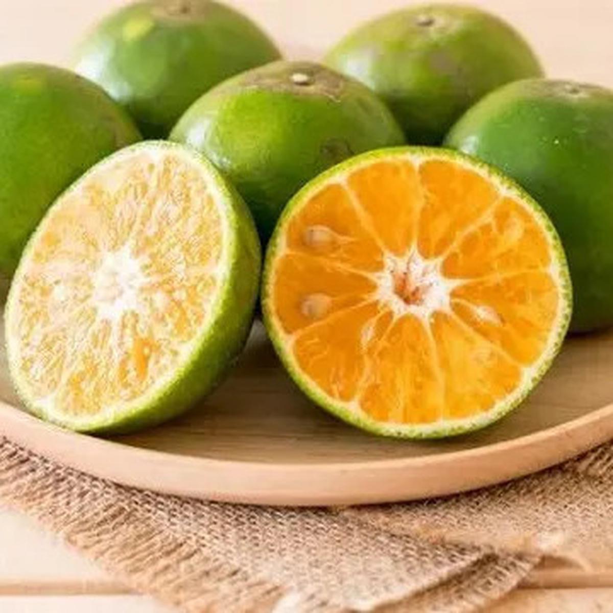 Jeruk Nipis