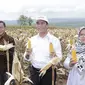 Menteri Pertanian Andi Amran Sulaiman menyaksikan banjir jagung di Kabupaten Tuban, Jawa Timur sekaligus melalukan panen raya di Desa Talun, Kecamatan Montong.