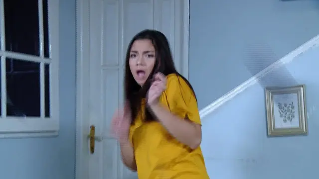 Anak Langit