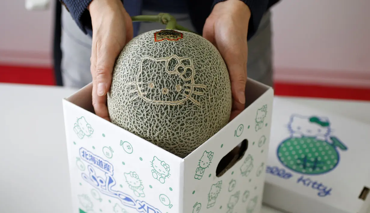 Melon bergambar Hello Kitty ditawarkan di toko online dan telah dibungkus dalam kotak layaknya sebagai hadiah yang menarik, Tokyo, Jepang, Kamis (23/6). (REUTERS / Toru Hanai)
