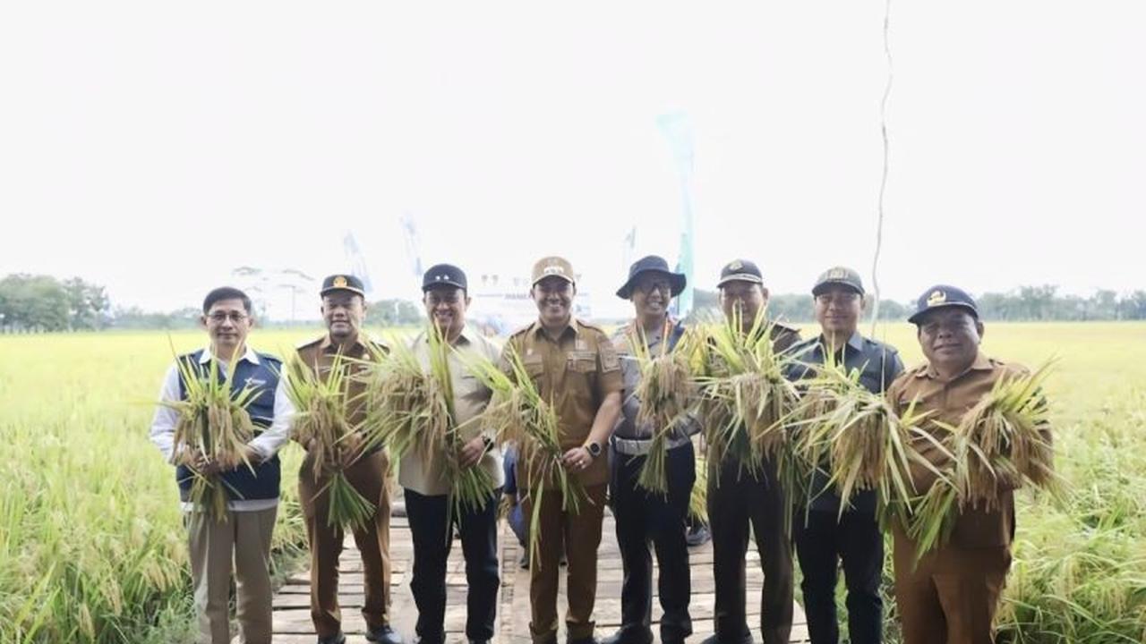 Cetak Sawah Rakyat Kalteng 21 Ribu Hektare, Langkah Nyata Menuju Lumbung Pangan Nasional