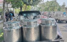 Imbas Protes Peternak Sapi, Pemerintah Wajibkan Industri Serap Produksi Susu Dalam Negeri