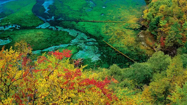 Five Flower Lake