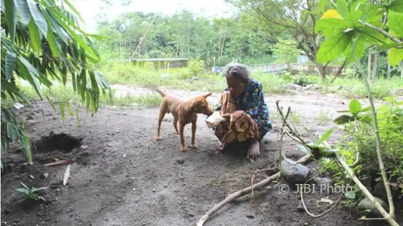 Nenek Sugiyem Hidup Bersama Anjing dan Ayam