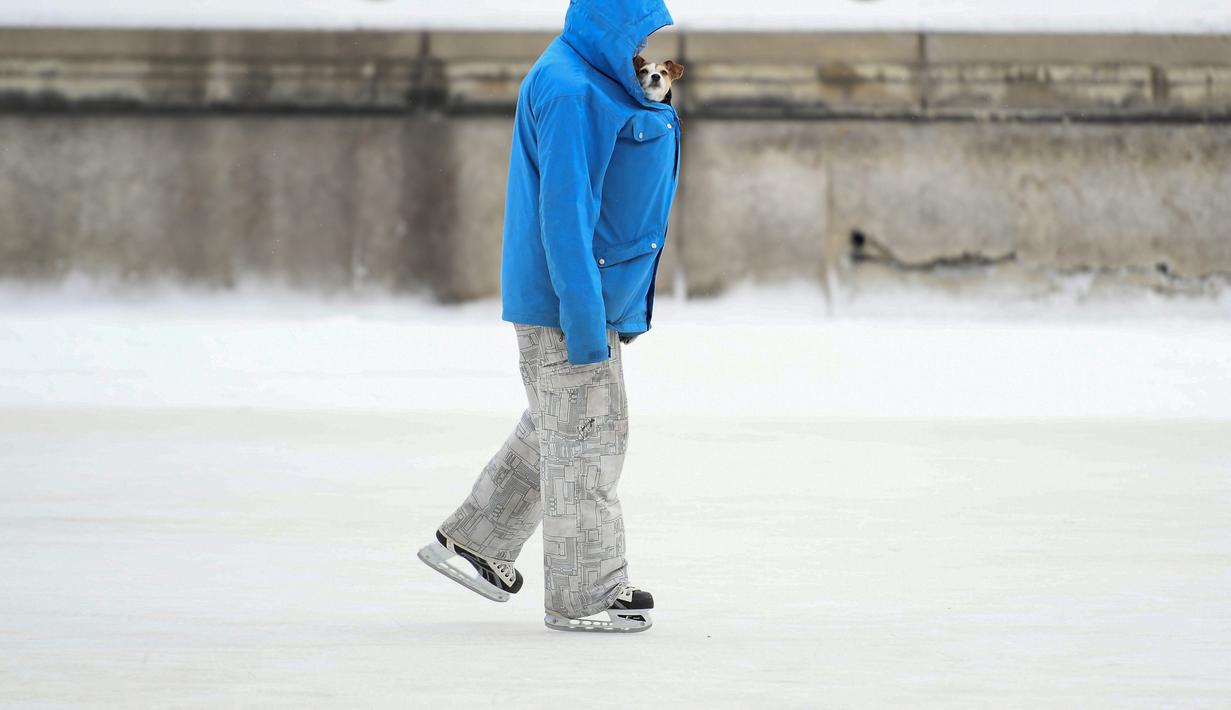 Andy S. berseluncur dengan anjingnya Stella dalam jaketnya di Rideau Canal Skateway pada hari pembukaannya di tengah pandemi COVID-19 di Ottawa, Ontario, Kamis (28/1/2021). (Justin Tang/The Canadian Press via AP)