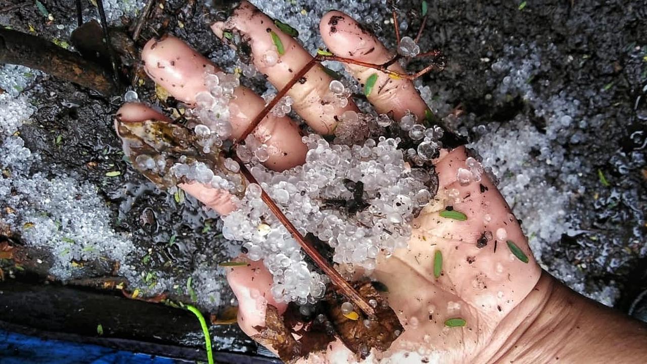 Hujan es di puncak Gunung Slamet. (Foto: Liputan6.com/Rudal Afgani Dirgantara)