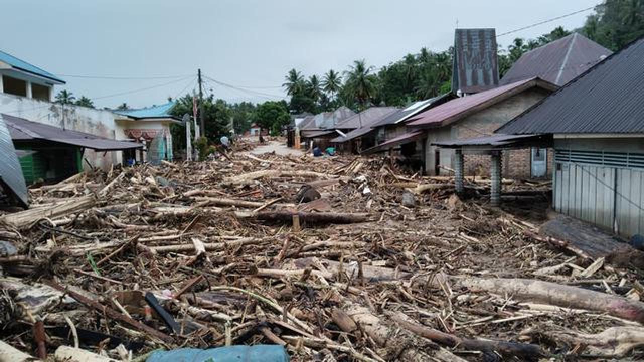 Ini Penyebab Banjir dan Longsor di Sumatera Versi Greenpeace