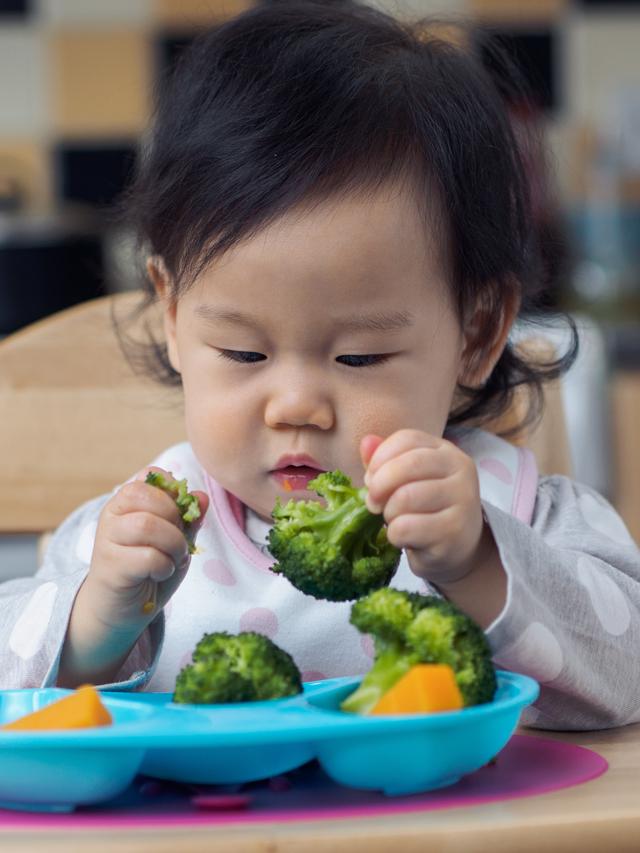 Anak susah makan