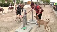 Toilet umum khusus anjing diciptakan untuk membantu menjaga kebersihan kota Spanyol