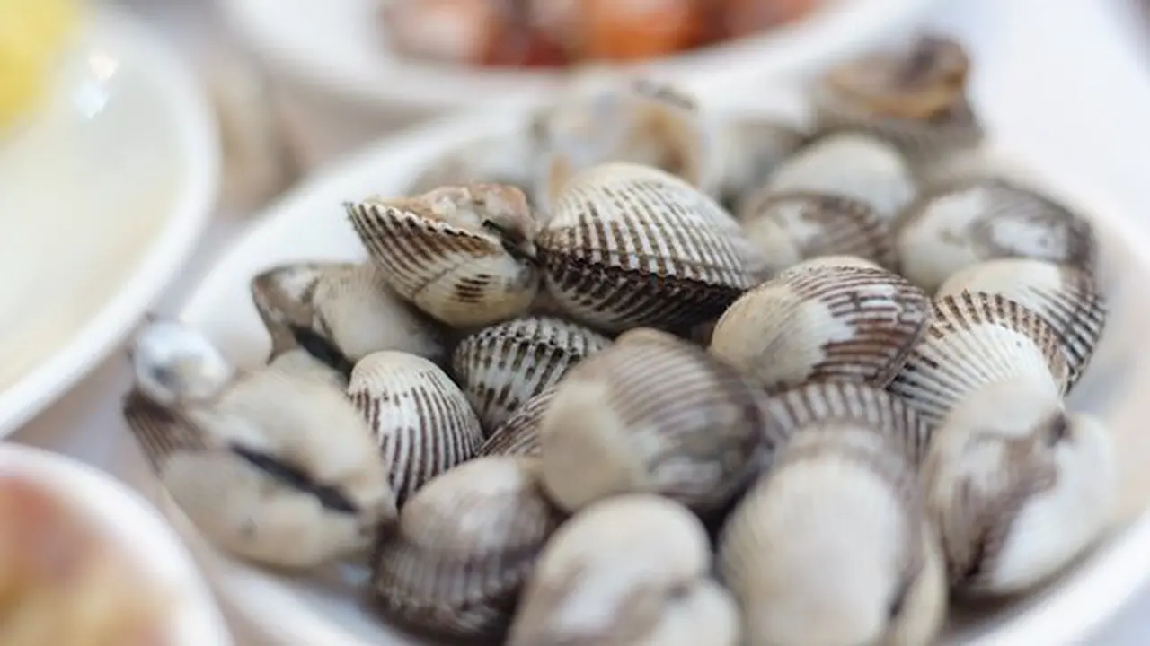Merebus kerang./Copyright pixabay.com