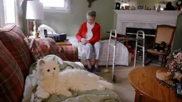 Mary Derr (93) duduk dekat robot kucing yang dipanggil "Buddy" di rumahnya, South Kingstown, 1 Desember 2017. Robot kucing ini memiliki kecerdasan buatan guna membantu orang dengan demensia ringan mengingat yang mungkin mereka lupakan. (AP/Stephan Savoia)