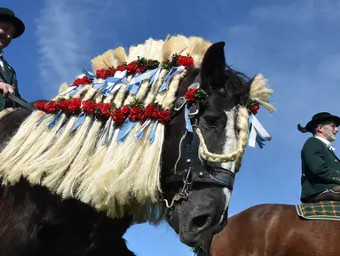 Dua orang pria menunggang kuda dengan mengenakan kostum tradisional Bavaria pada perayaan tradisional St Georgi Ride di Traunstein, Jerman (4/2). Acara ini dilakukan setelah hari Paskah. (AFP Photo/Christof Stache)