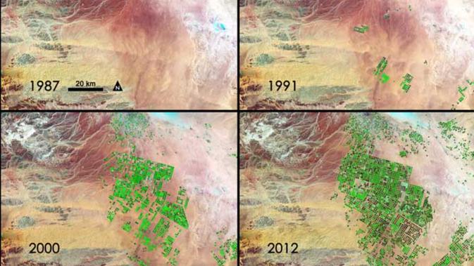 <p>Pemandangan hijau dari tahun 1980-an hingga awal 2010-an di utara Arab Saudi. Dok: NASA</p>