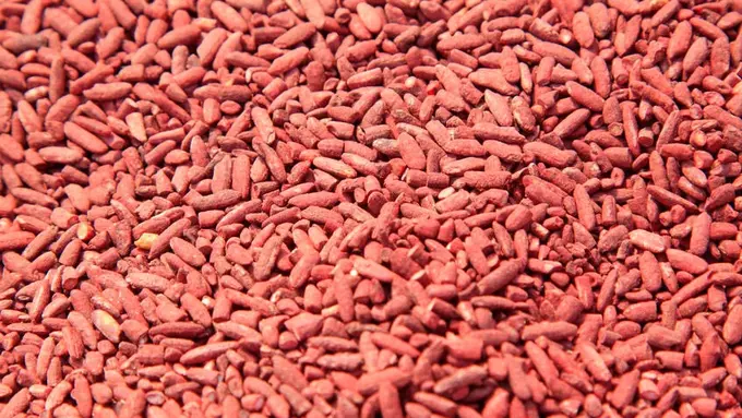 Angkak, Si Merah untuk Demam Berdarah