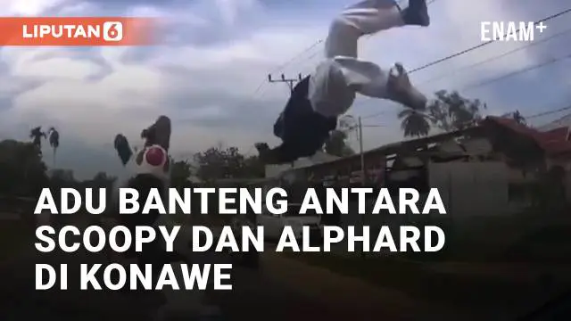 VIDEO: Kecelakaan Adu Banteng Antara Honda Scoopy dan Toyota Alphard di Konawe