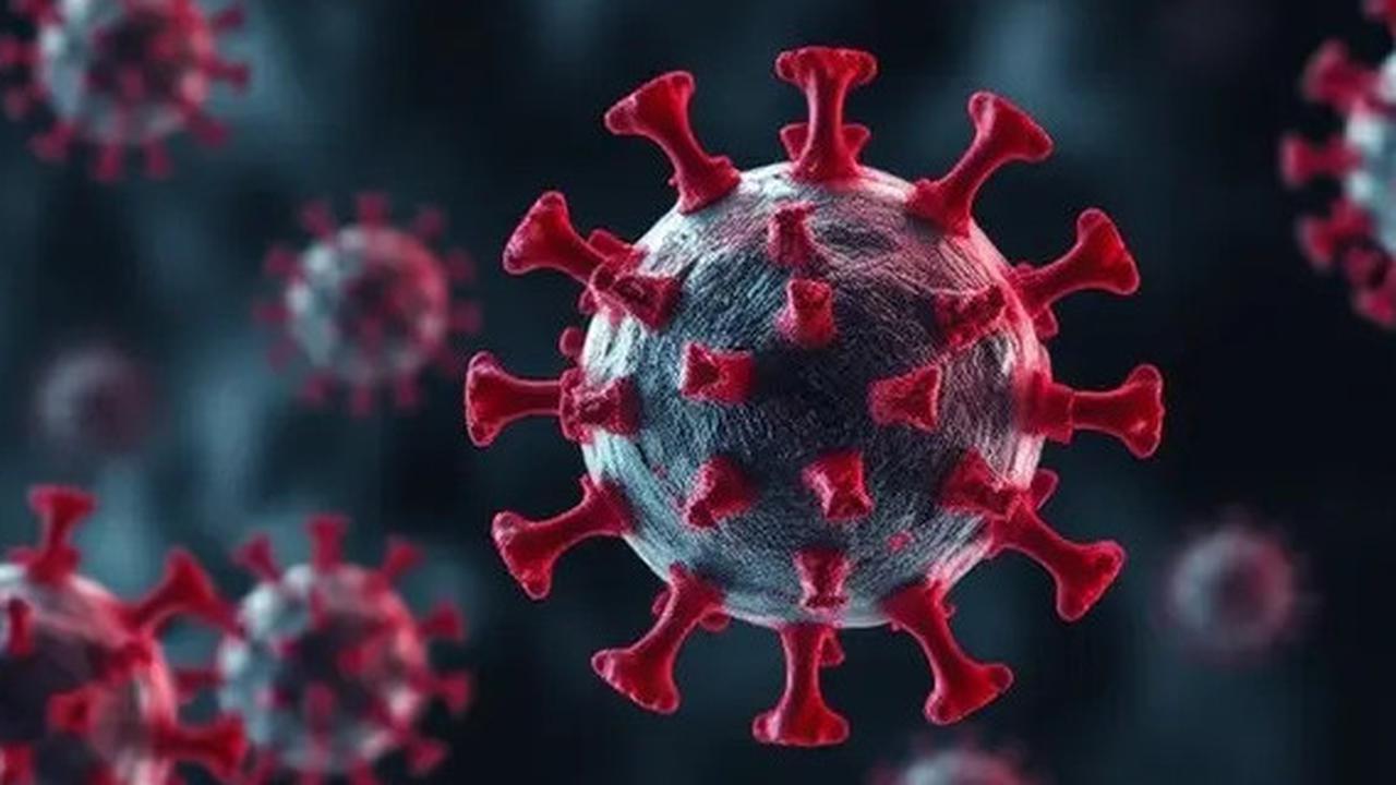 Masuk Sejak 2022, Virus HMPV Picu Peningkatan Kasus ISPA di Jakarta
