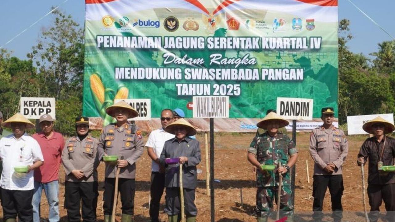 Tahukah Anda? Kodim dan Pemkab Gelar Gerakan Tanam Jagung Serentak Sumenep, Bidik Peningkatan Produksi Pangan