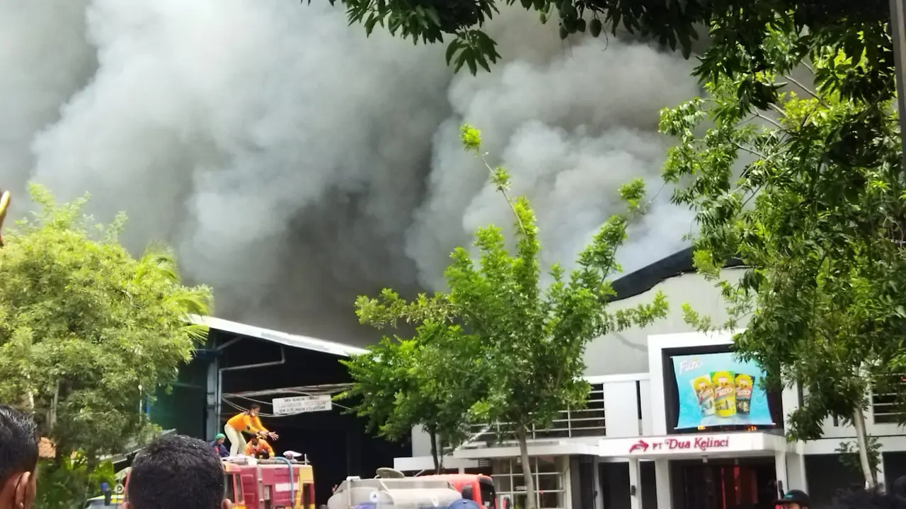 Kebakaran Dua kelinci