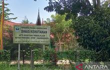 Fakta Mengejutkan: 9.205 Hektare Lahan Sawit Masyarakat Dharmasraya Ternyata Berada di Kawasan Hutan!
