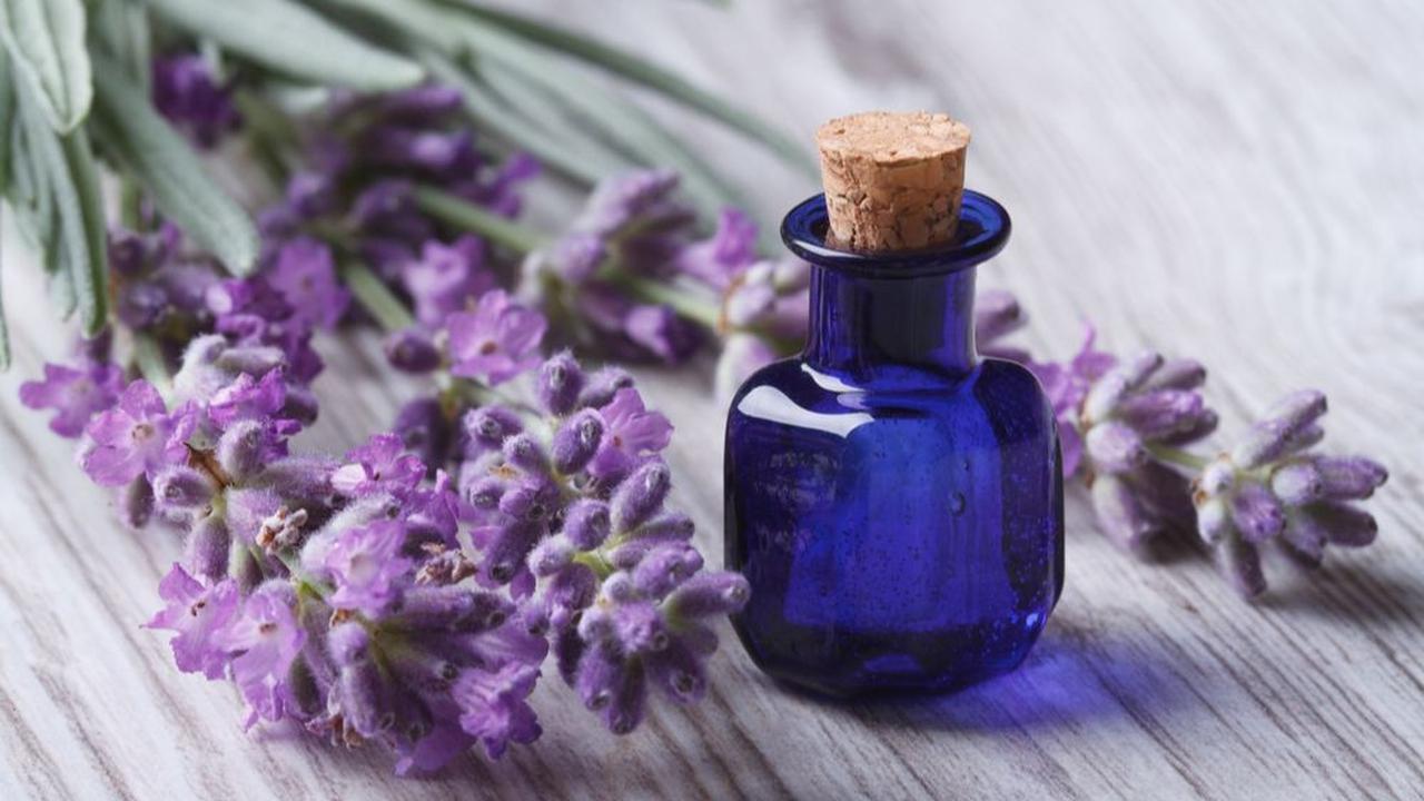 1. Meredakan Insomnia
