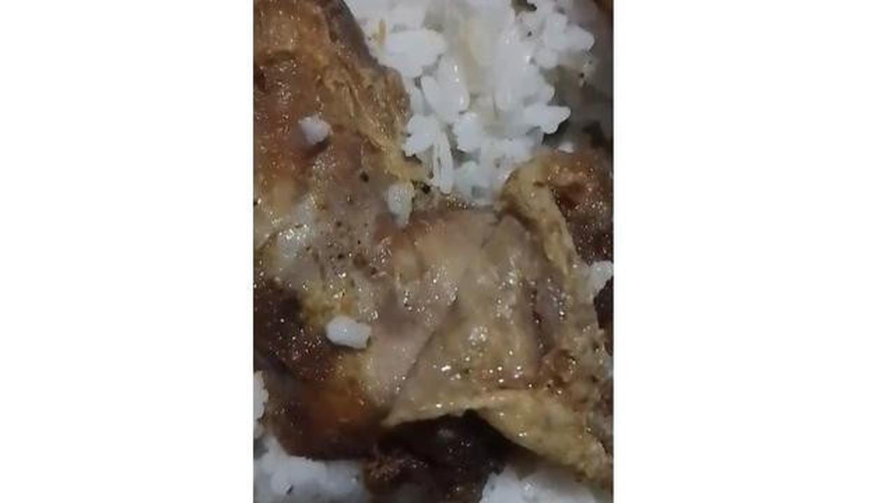 Belatung di Menu MBG Bone Bolango, Begini Kata BGN