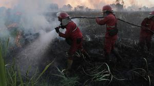 Karhutla Meluas di Sejumlah Wilayah Indonesia