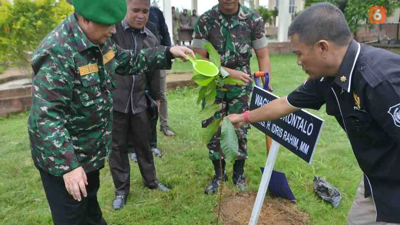 Wakil Gubernur Gorontalo H. Idris Rahim (kiri), menyirami pohon Malahengo (Arfandi/Liputan6.com)