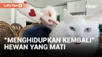 Di negara bagian Texas, Amerika Serikat, orang-orang membuat kloningan hewan peliharaan kesayangan mereka agar hewan yang identik secara genetis itu bisa hidup setelah hewan kesayangan mereka mati. Simak laporan VOA dari ibukota Texas, Austin, beriku...
