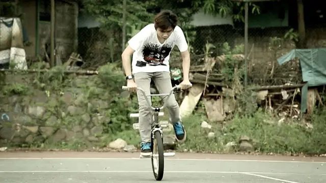 Flatland adalah freestyle BMX yang dilakukan pada permukaan datar yang halus. Flatland kadang digambarkan sebagai bentuk bersepeda artistik dengan paduan breakdance.