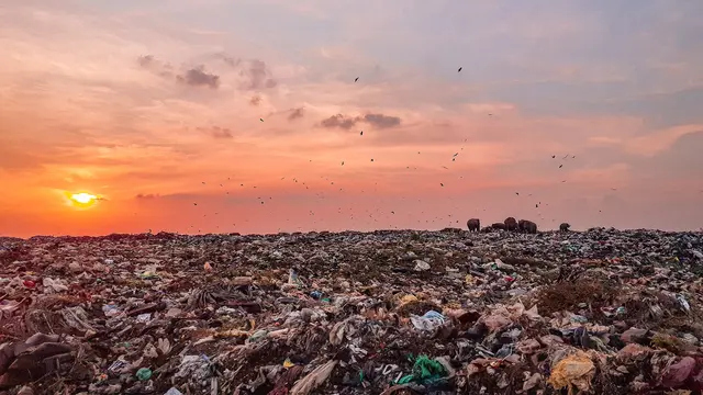 10 Penyebab Pencemaran Tanah, Ini Solusi Pencemaran Tanah dan Cara Mencegahnya