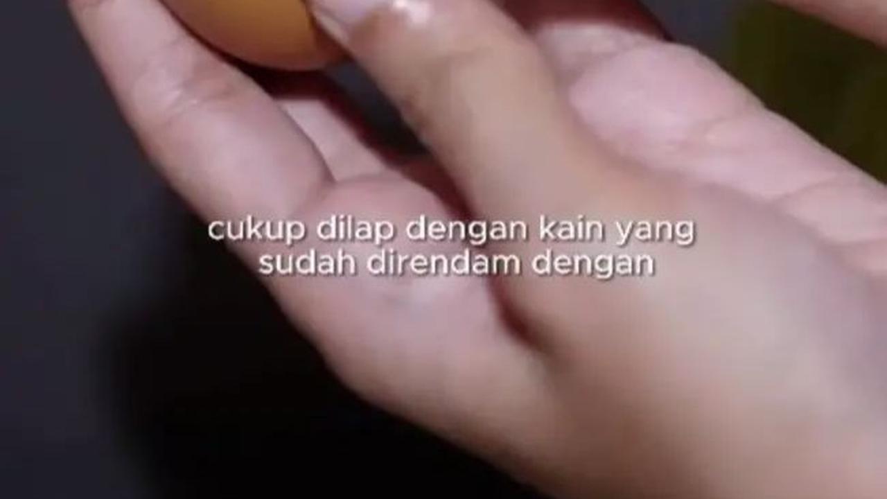 Lap Telur secara Perlahan