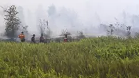 Asap Kebakaran Hutan Ancam Pasien Asma, Jangan Abaikan Gejala Ini