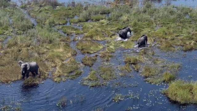 Botswana