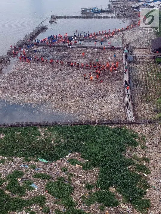 Foto aerial proses pengerukan sampah di kawasan Hutan Mangrove Ecomarine Muara Angke, Jakarta Utara, Minggu (18/3). Lautan sampah yang memenuhi perairan seluas 7.500 meter persegi tersebut tengah menjadi sorotan. (Liputan6.com/Arya Manggala)