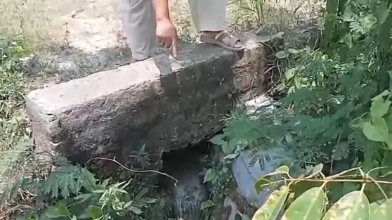 Warga Lampung Selatan Keluhkan Bau Menyengat Limbah Dapur SPPG
