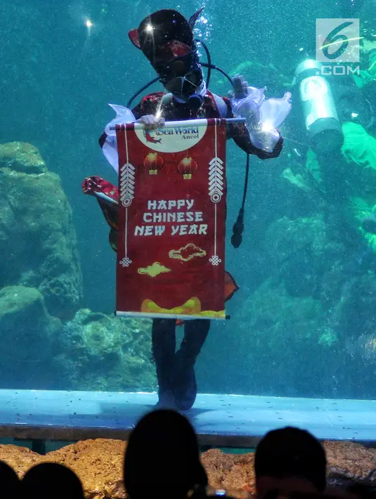 Pemain barongsai tampil di dalam air di Seaworld Ancol, Jakarta, Minggu (3/2). Pertunjukan dalam rangka memeriahkan Tahun Baru Imlek 2570 tersebut mengangkat tema "The Legend of 12 Shio" yang digelar hingga 5 Februari 2019. (Liputan6.com/Johan Tallo)