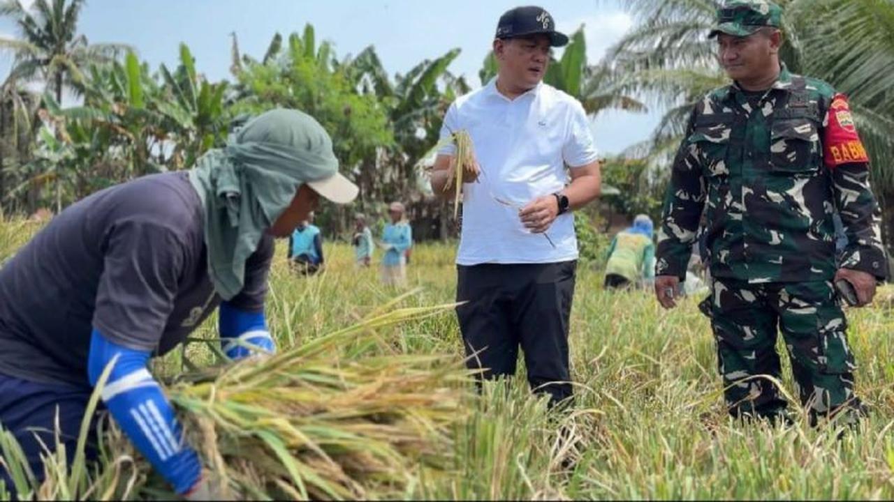 Bulog Sumut Targetkan Serap 62.718 Ton GKP untuk Jaga Stabilitas Harga 2026